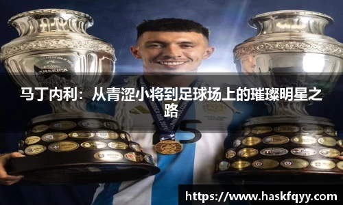 马丁内利：从青涩小将到足球场上的璀璨明星之路
